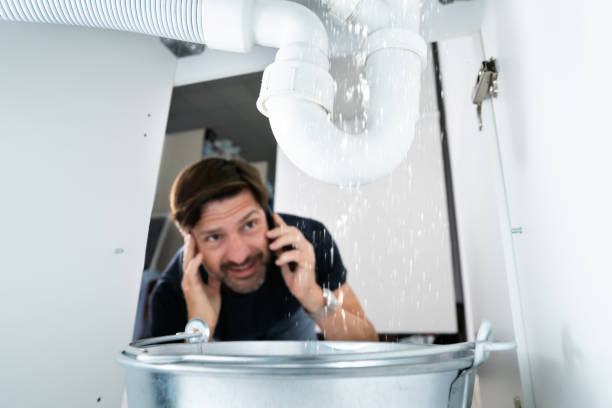 Best Residential Plumbing Services  in South Elgin, IL
