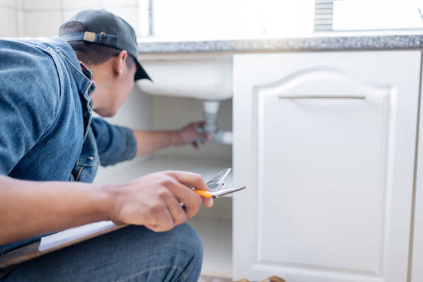 Best Clogged Drain Plumber  in South Elgin, IL