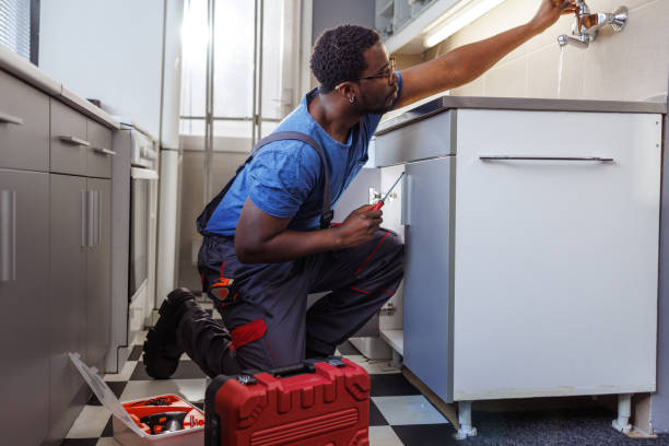 Best Leak Detection Services  in South Elgin, IL